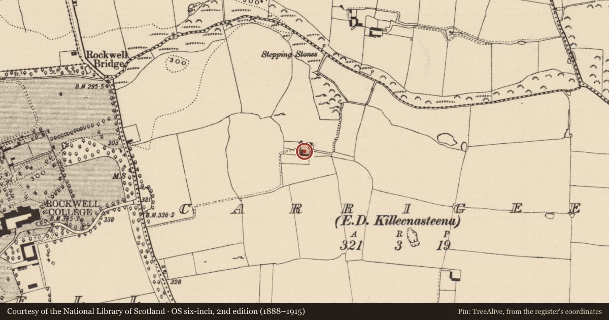 Ordnance Survey six-inch map, 2nd edition (1888–1915) covering the location of Bawn, Carrigeen (Knockgraffon Par.), County Tipperary South, with a pin at the register's coordinates
