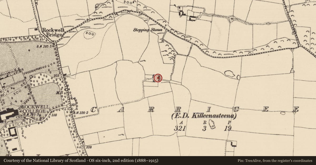 Ordnance Survey six-inch map, 2nd edition (1888–1915) covering the location of House - 17th century, Carrigeen (Knockgraffon Par.), County Tipperary South, with a pin at the register's coordinates