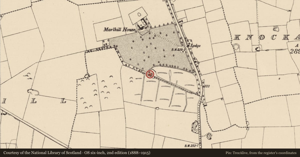 Ordnance Survey six-inch map, 2nd edition (1888–1915) covering the location of Crannog, Marlhill (Knockgraffon Par.), County Tipperary South, with a pin at the register's coordinates