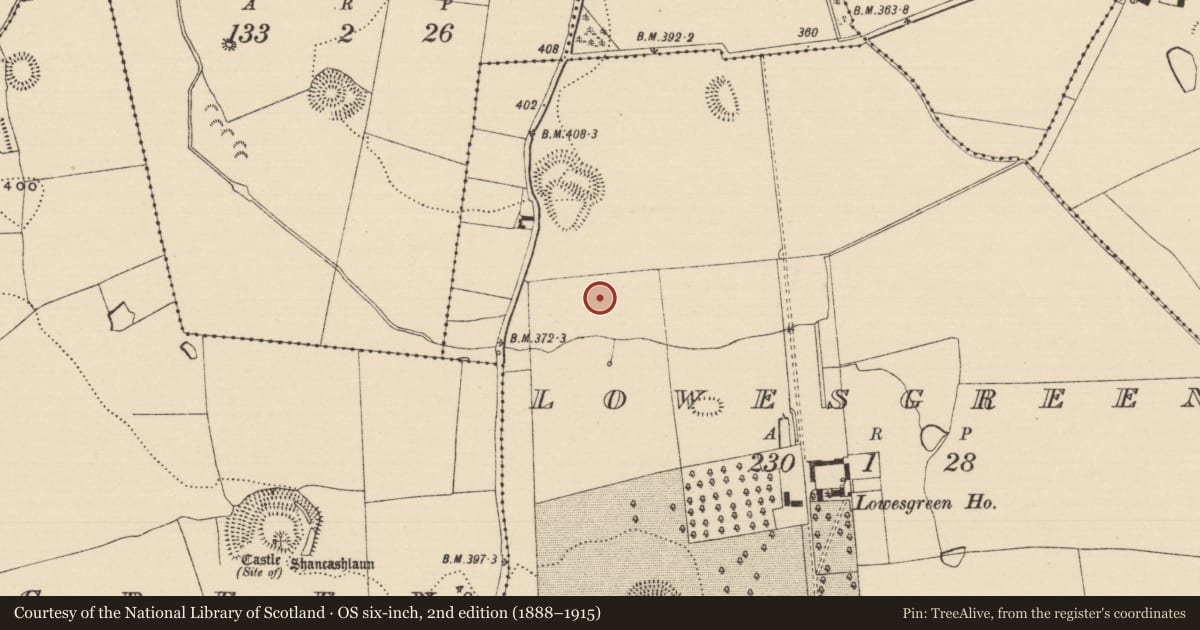 Ordnance Survey six-inch map, 2nd edition (1888–1915) covering the location of Enclosure, Lowesgreen, County Tipperary South, with a pin at the register's coordinates