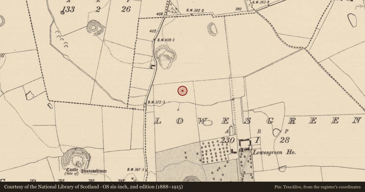 Ordnance Survey six-inch map, 2nd edition (1888–1915) covering the location of Enclosure, Lowesgreen, County Tipperary South, with a pin at the register's coordinates