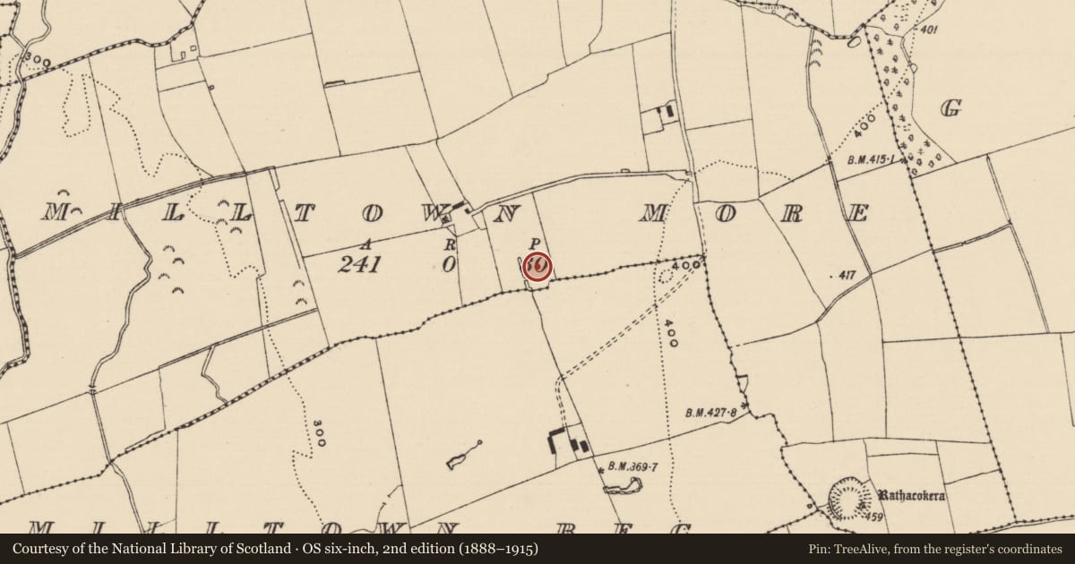 Ordnance Survey six-inch map, 2nd edition (1888–1915) covering the location of Moated site, Milltown More, County Tipperary South, with a pin at the register's coordinates