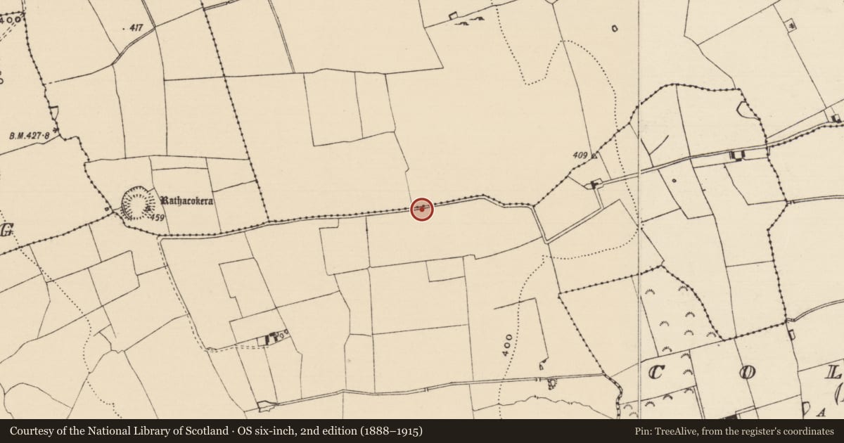 Ordnance Survey six-inch map, 2nd edition (1888–1915) covering the location of Road - road/trackway, County Tipperary South, with a pin at the register's coordinates