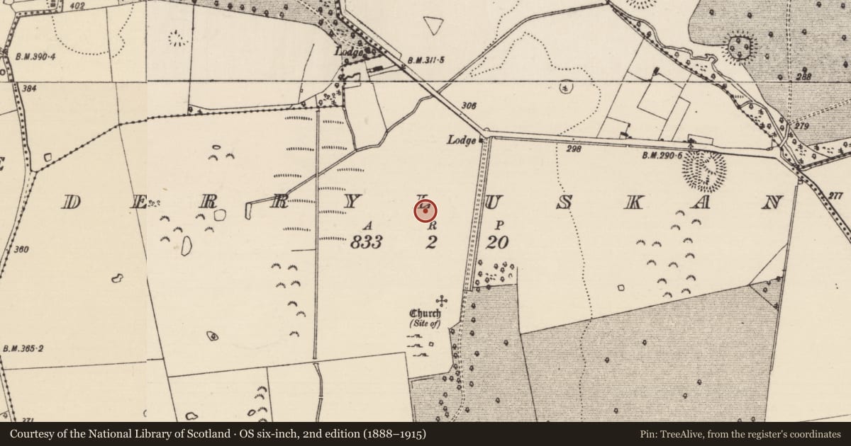 Ordnance Survey six-inch map, 2nd edition (1888–1915) covering the location of Enclosure, Derryluskan, County Tipperary South, with a pin at the register's coordinates