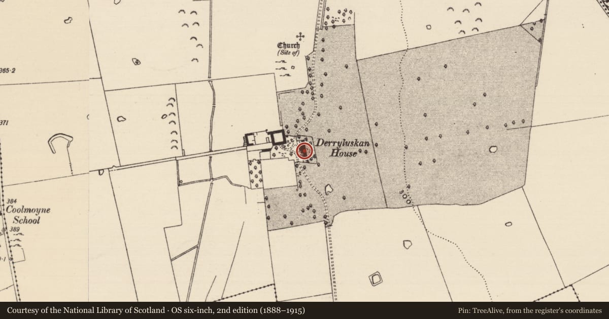 Ordnance Survey six-inch map, 2nd edition (1888–1915) covering the location of Castle - unclassified, Derryluskan, County Tipperary South, with a pin at the register's coordinates