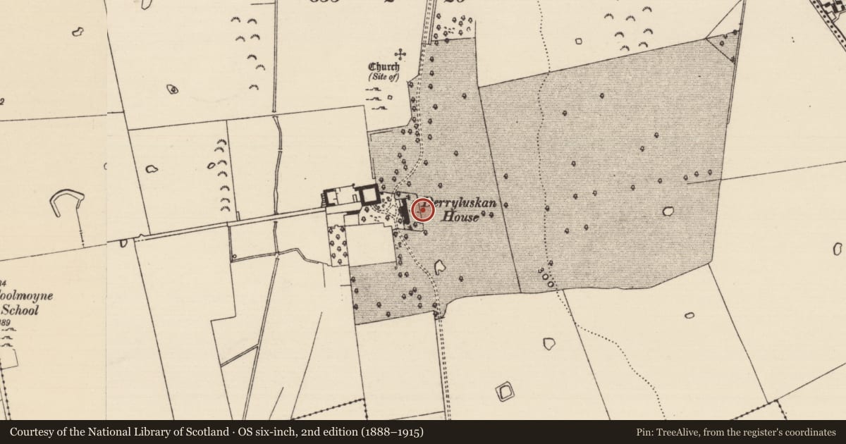 Ordnance Survey six-inch map, 2nd edition (1888–1915) covering the location of Architectural feature, Derryluskan, County Tipperary South, with a pin at the register's coordinates