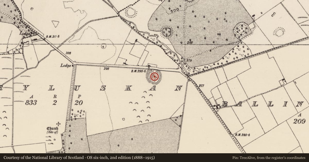 Ordnance Survey six-inch map, 2nd edition (1888–1915) covering the location of Enclosure, Derryluskan, County Tipperary South, with a pin at the register's coordinates