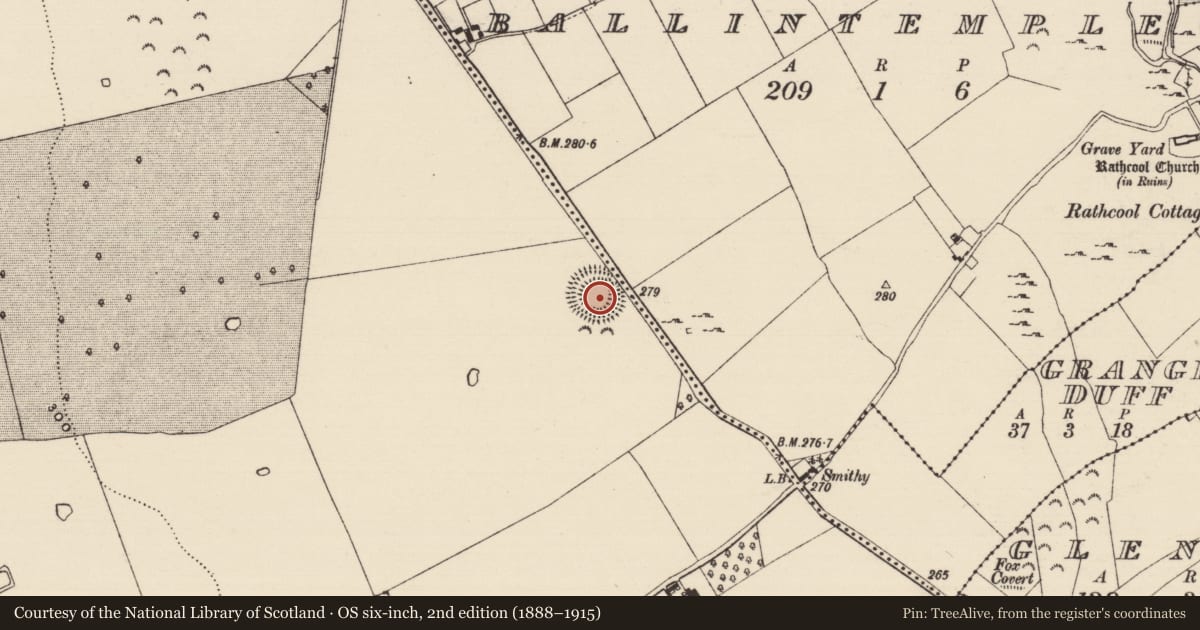 Ordnance Survey six-inch map, 2nd edition (1888–1915) covering the location of Enclosure, Derryluskan, County Tipperary South, with a pin at the register's coordinates