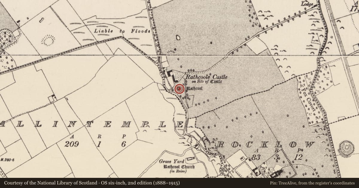 Ordnance Survey six-inch map, 2nd edition (1888–1915) covering the location of Castle - motte, Rathcool, County Tipperary South, with a pin at the register's coordinates