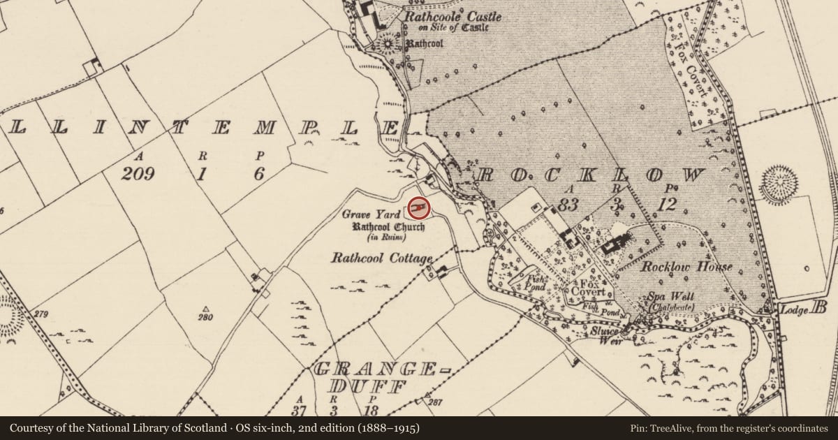 Ordnance Survey six-inch map, 2nd edition (1888–1915) covering the location of Graveslab, Ballintemple (Rathcool Par.), County Tipperary South, with a pin at the register's coordinates