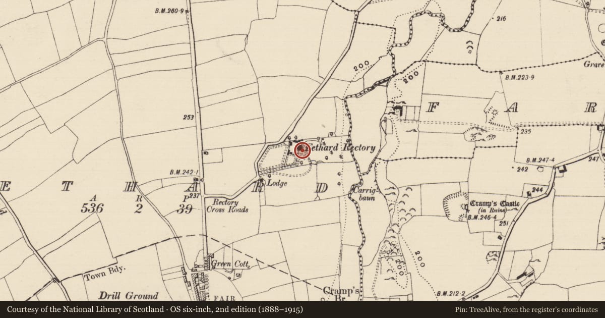 Ordnance Survey six-inch map, 2nd edition (1888–1915) covering the location of House - 17th century, Fethard, County Tipperary South, with a pin at the register's coordinates