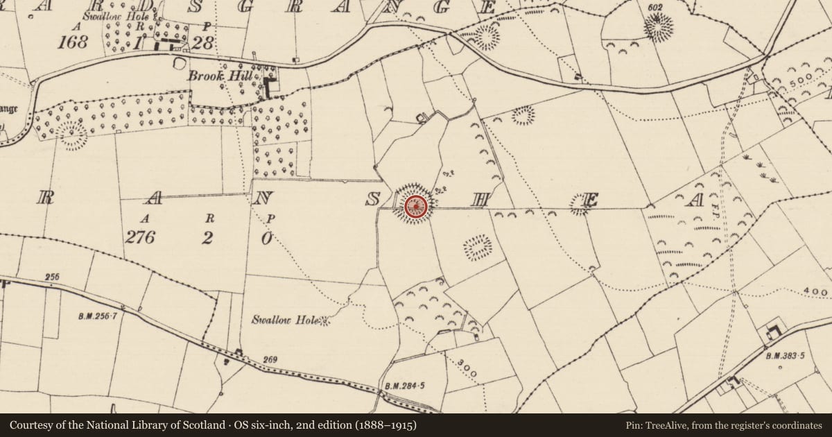 Ordnance Survey six-inch map, 2nd edition (1888–1915) covering the location of Ringfort - rath, Farranshea, County Tipperary South, with a pin at the register's coordinates