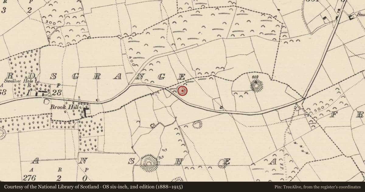 Ordnance Survey six-inch map, 2nd edition (1888–1915) covering the location of Ringfort - rath, Farranshea, County Tipperary South, with a pin at the register's coordinates