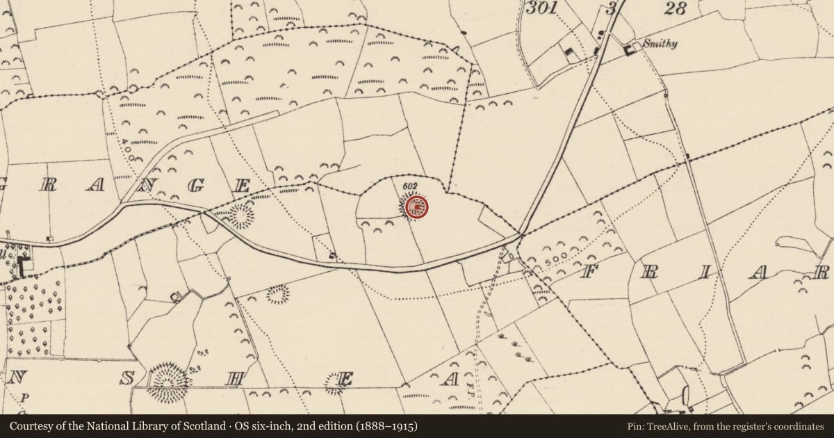 Ordnance Survey six-inch map, 2nd edition (1888–1915) covering the location of Ringfort - rath, Farranshea, County Tipperary South, with a pin at the register's coordinates