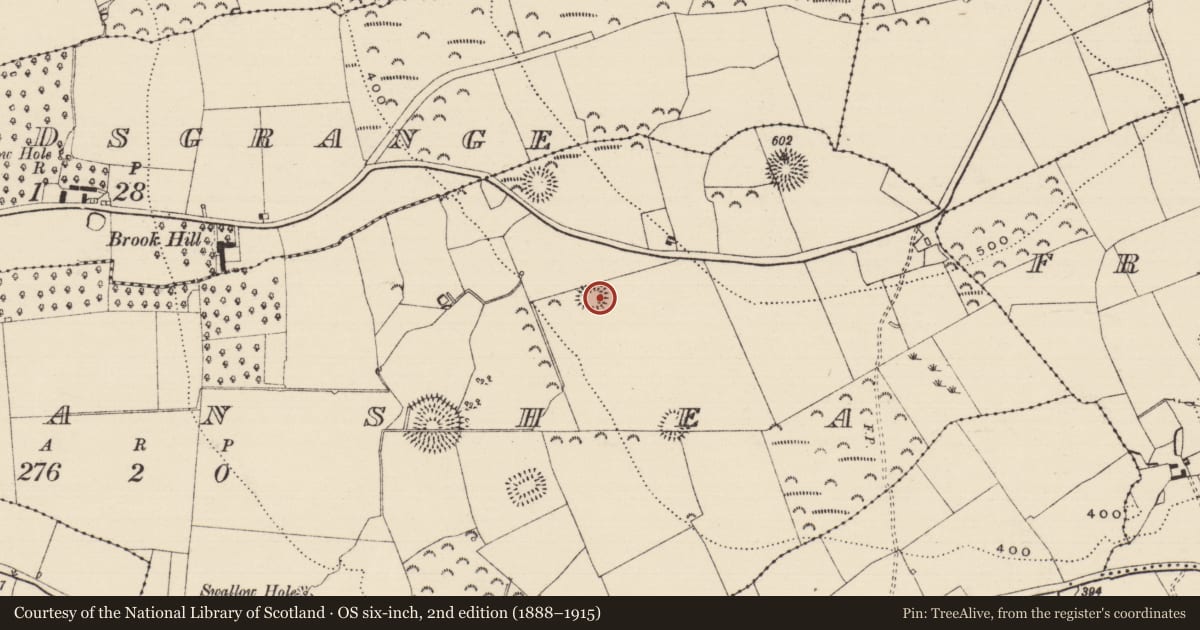 Ordnance Survey six-inch map, 2nd edition (1888–1915) covering the location of Enclosure, Farranshea, County Tipperary South, with a pin at the register's coordinates