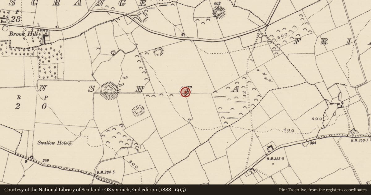 Ordnance Survey six-inch map, 2nd edition (1888–1915) covering the location of Ringfort - rath, Farranshea, County Tipperary South, with a pin at the register's coordinates