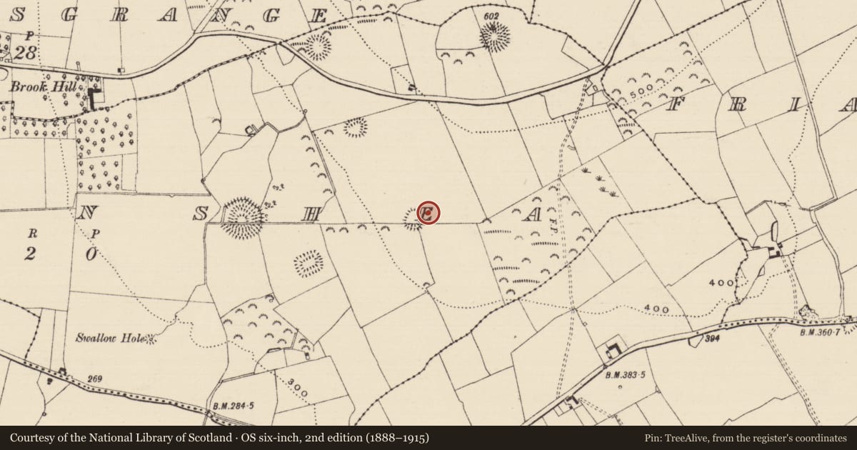 Ordnance Survey six-inch map, 2nd edition (1888–1915) covering the location of Enclosure, Farranshea, County Tipperary South, with a pin at the register's coordinates