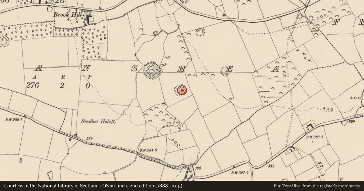 Ordnance Survey six-inch map, 2nd edition (1888–1915) covering the location of Moated site, Farranshea, County Tipperary South, with a pin at the register's coordinates
