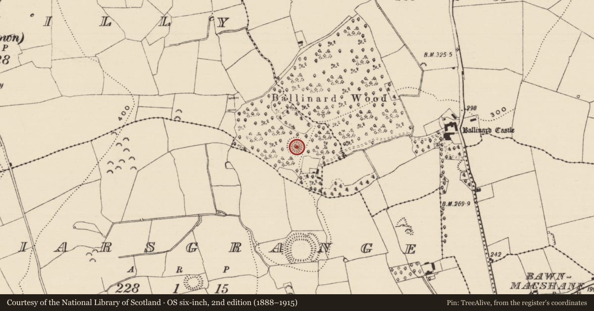 Ordnance Survey six-inch map, 2nd edition (1888–1915) covering the location of Ringfort - rath, Tinnakilly (Peppardstown Par.), County Tipperary South, with a pin at the register's coordinates