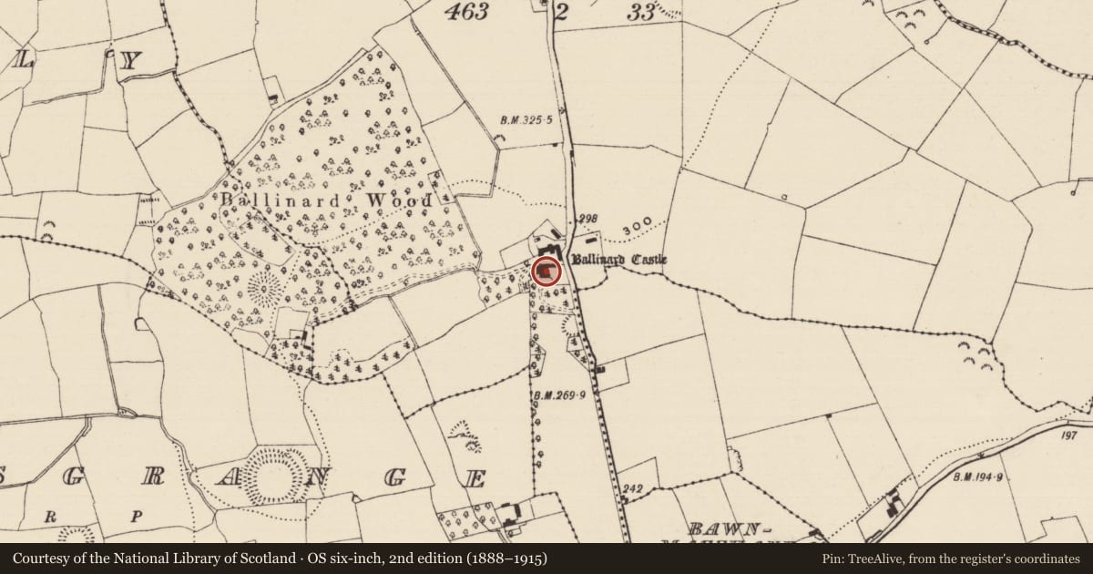 Ordnance Survey six-inch map, 2nd edition (1888–1915) covering the location of Castle - tower house, Ballinard (Cloneen Par.), County Tipperary South, with a pin at the register's coordinates