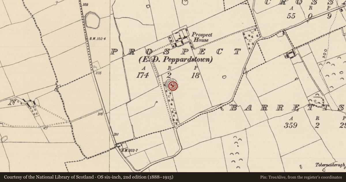 Ordnance Survey six-inch map, 2nd edition (1888–1915) covering the location of Ringfort - rath, Prospect (Rathcool Par.), County Tipperary South, with a pin at the register's coordinates