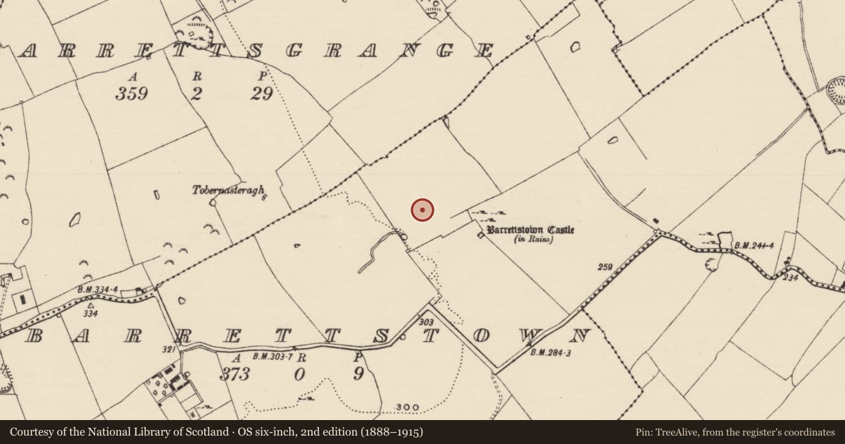Ordnance Survey six-inch map, 2nd edition (1888–1915) covering the location of Settlement deserted - medieval, Barrettstown, County Tipperary South, with a pin at the register's coordinates