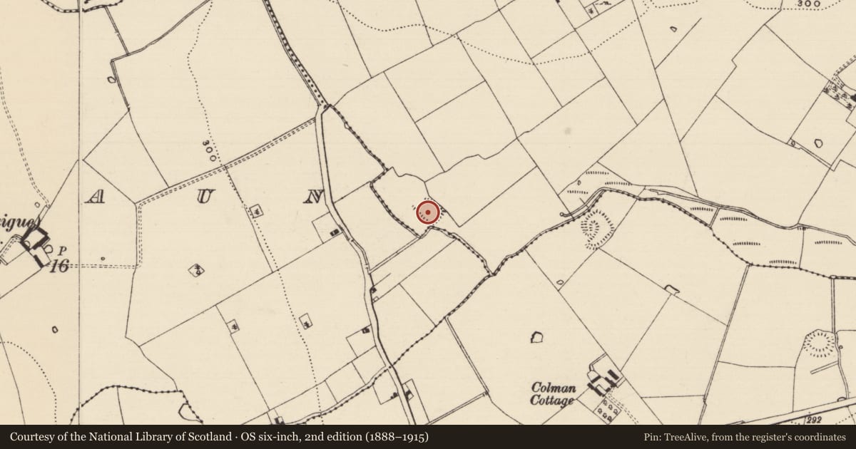 Ordnance Survey six-inch map, 2nd edition (1888–1915) covering the location of Enclosure, Barrettstown, County Tipperary South, with a pin at the register's coordinates