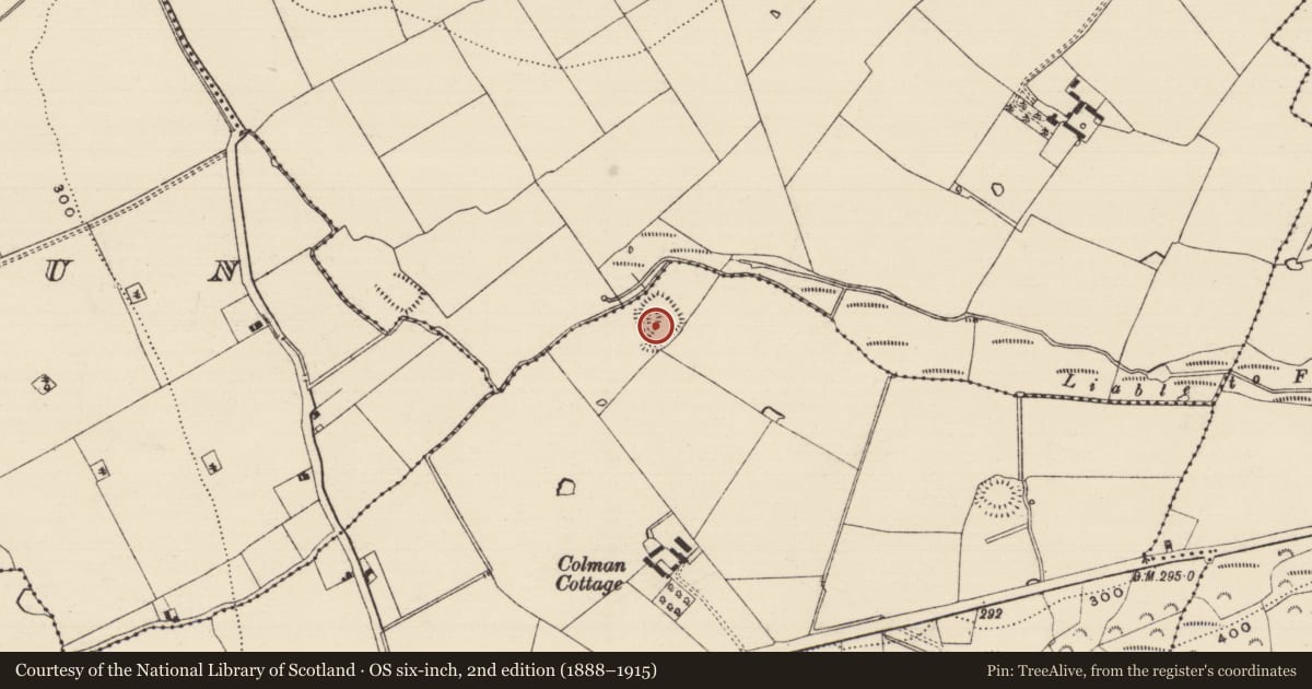 Ordnance Survey six-inch map, 2nd edition (1888–1915) covering the location of Enclosure, Colman (Hennessy), County Tipperary South, with a pin at the register's coordinates