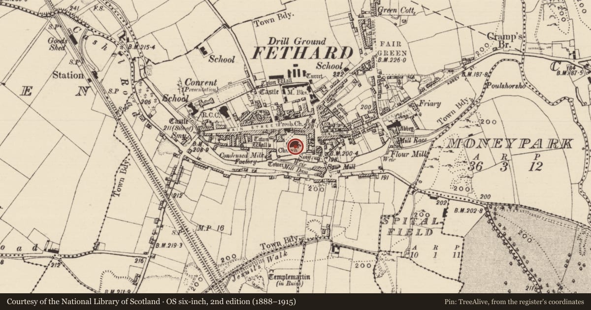 Ordnance Survey six-inch map, 2nd edition (1888–1915) covering the location of Church, Fethard, County Tipperary South, with a pin at the register's coordinates