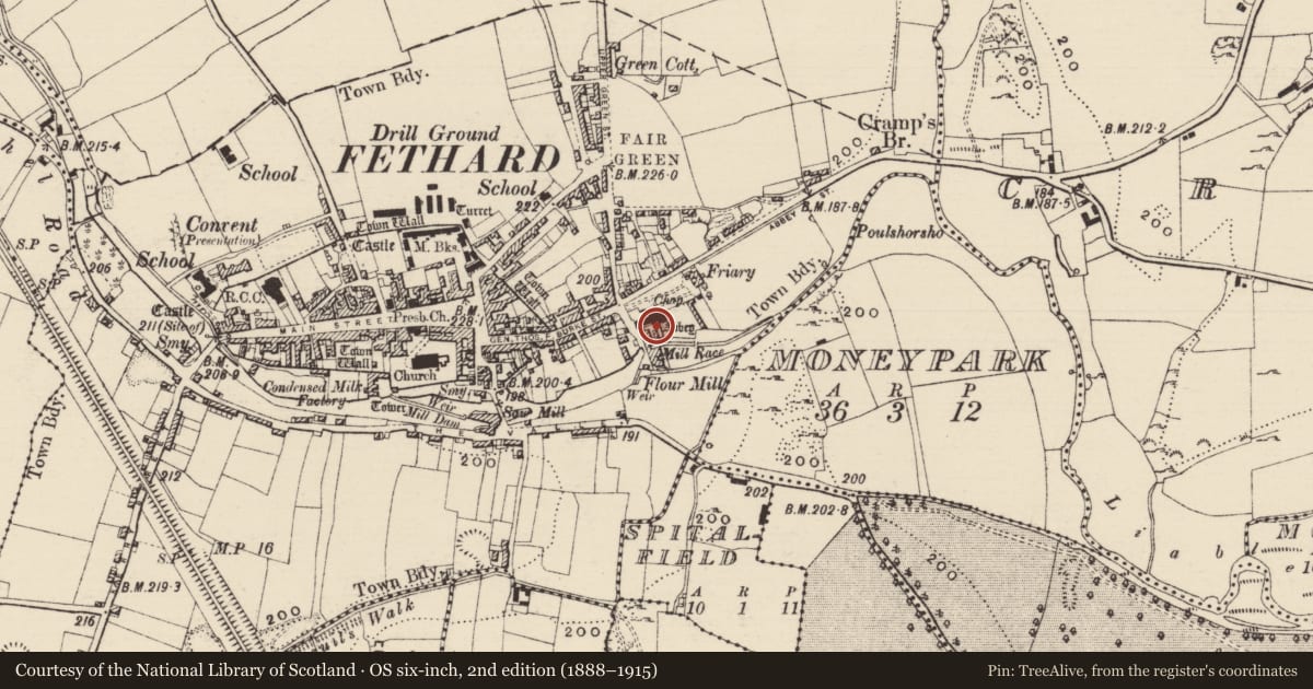 Ordnance Survey six-inch map, 2nd edition (1888–1915) covering the location of Religious house - Augustinian friars, Fethard, County Tipperary South, with a pin at the register's coordinates