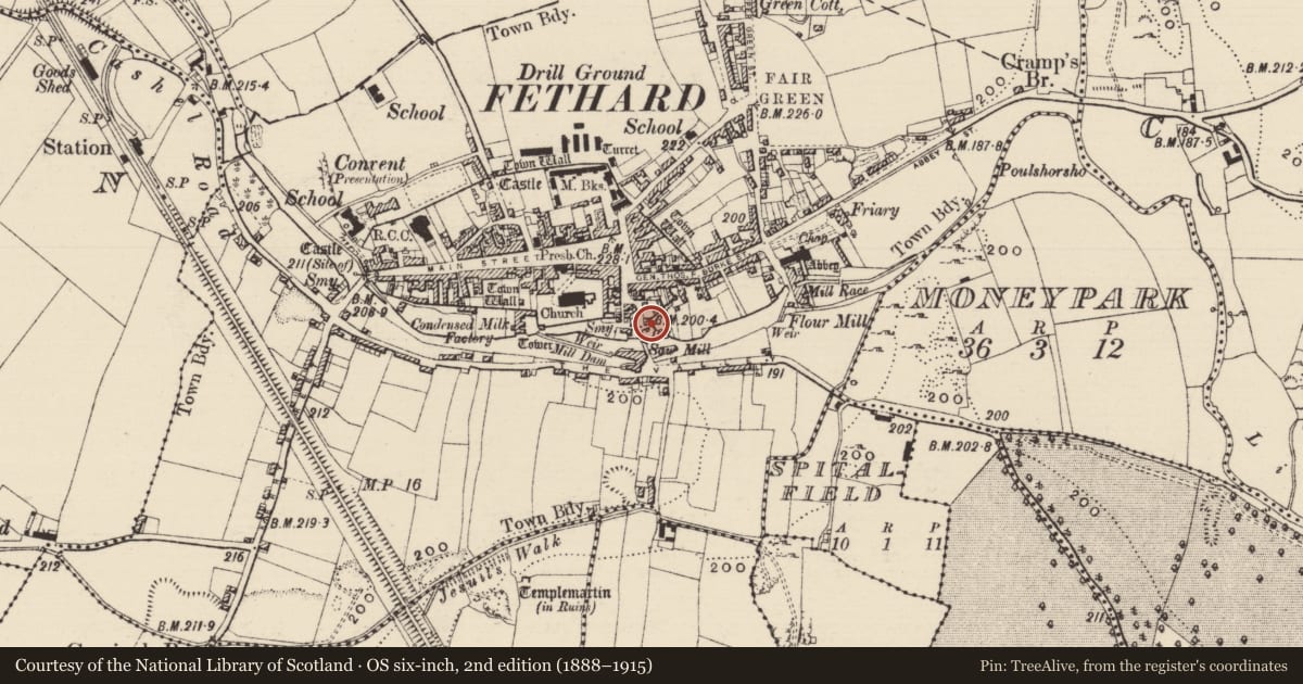 Ordnance Survey six-inch map, 2nd edition (1888–1915) covering the location of Sheela-na-gig, Fethard, County Tipperary South, with a pin at the register's coordinates
