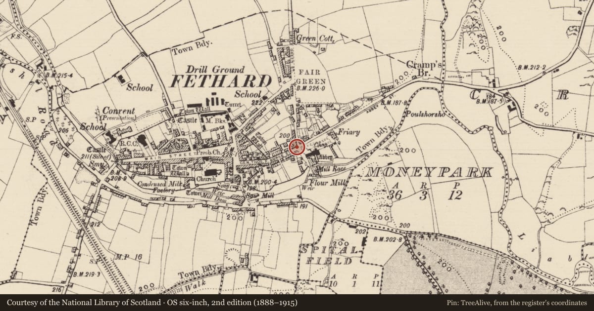 Ordnance Survey six-inch map, 2nd edition (1888–1915) covering the location of House - 17th century, Fethard, County Tipperary South, with a pin at the register's coordinates