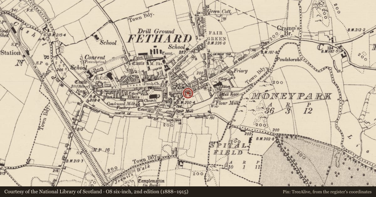 Ordnance Survey six-inch map, 2nd edition (1888–1915) covering the location of House - 17th century, Fethard, County Tipperary South, with a pin at the register's coordinates