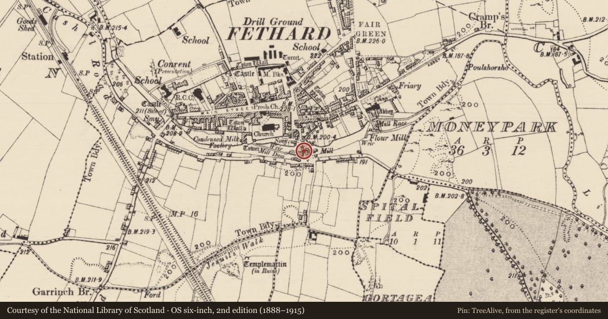 Ordnance Survey six-inch map, 2nd edition (1888–1915) covering the location of Bridge, Fethard, County Tipperary South, with a pin at the register's coordinates