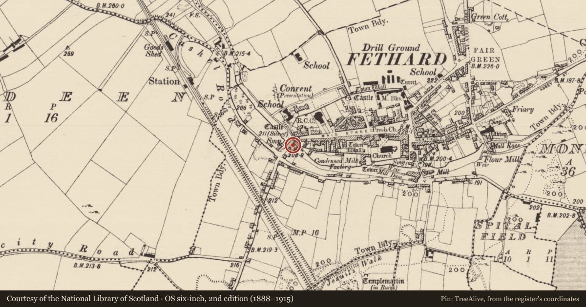 Ordnance Survey six-inch map, 2nd edition (1888–1915) covering the location of Bridge, Fethard, County Tipperary South, with a pin at the register's coordinates