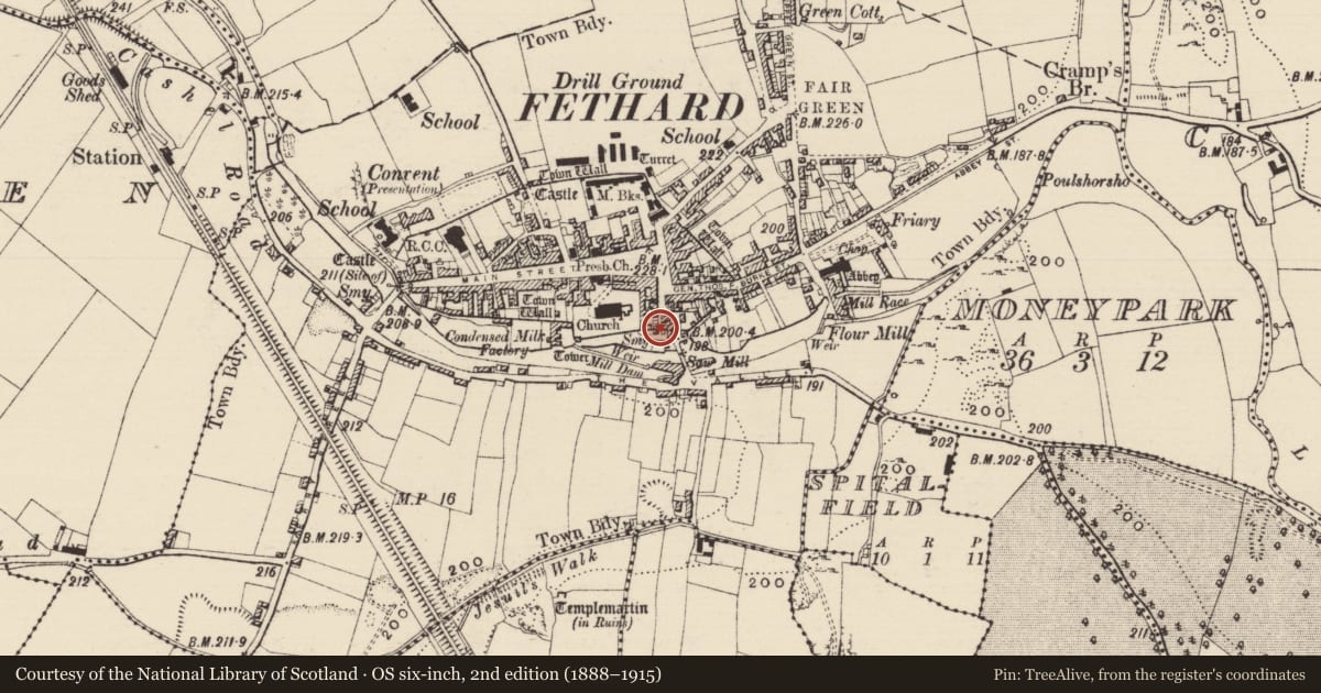 Ordnance Survey six-inch map, 2nd edition (1888–1915) covering the location of House - 16th/17th century, Fethard, County Tipperary South, with a pin at the register's coordinates