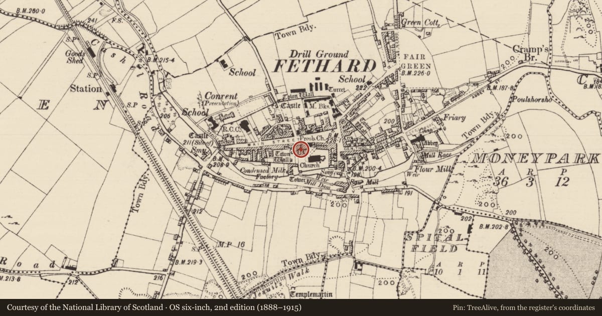 Ordnance Survey six-inch map, 2nd edition (1888–1915) covering the location of House - medieval, Fethard, County Tipperary South, with a pin at the register's coordinates