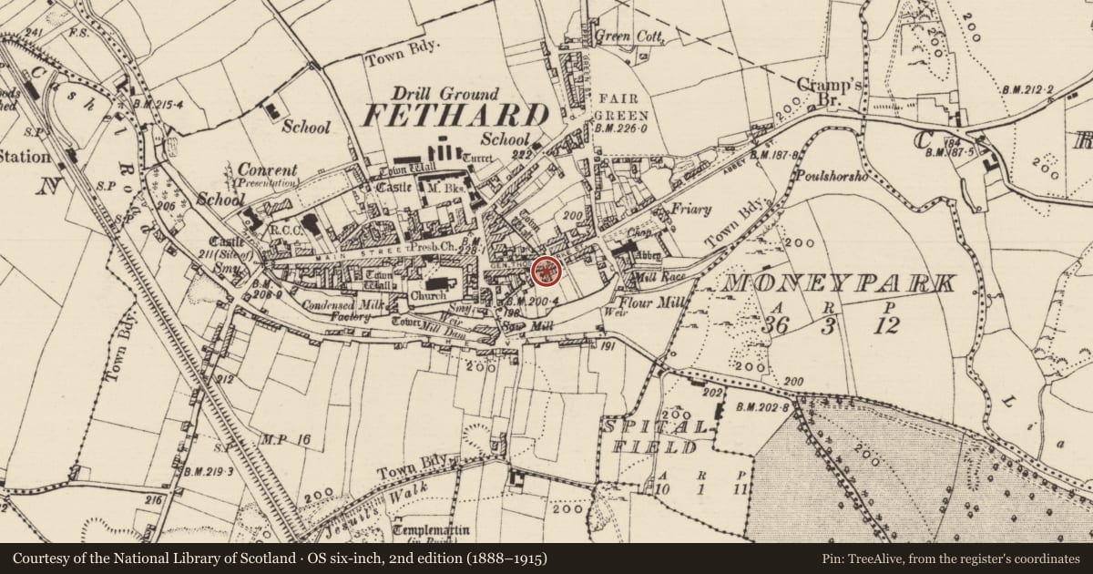 Ordnance Survey six-inch map, 2nd edition (1888–1915) covering the location of Building, Fethard, County Tipperary South, with a pin at the register's coordinates