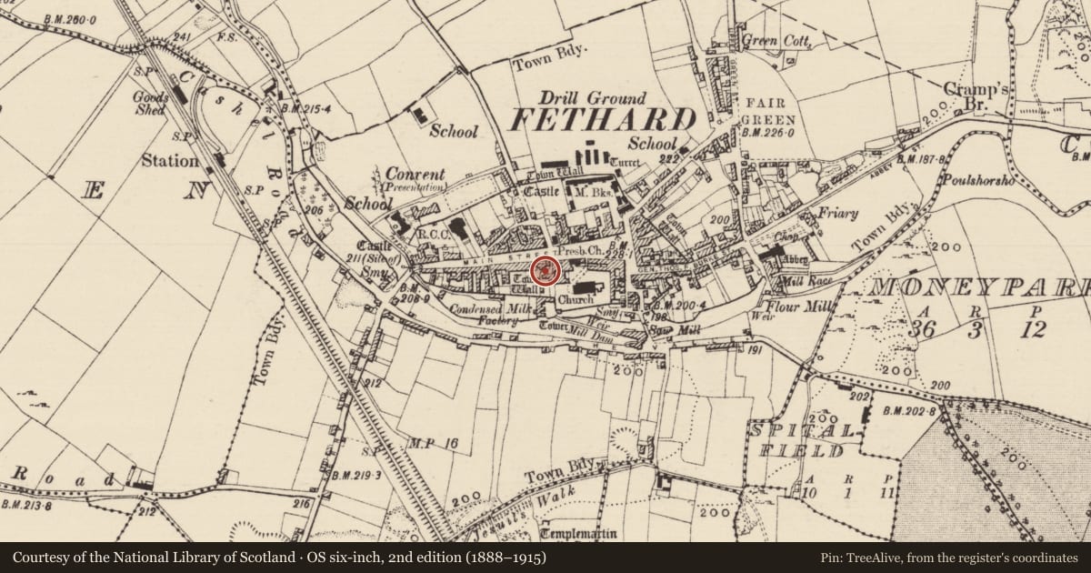 Ordnance Survey six-inch map, 2nd edition (1888–1915) covering the location of House - medieval, Fethard, County Tipperary South, with a pin at the register's coordinates
