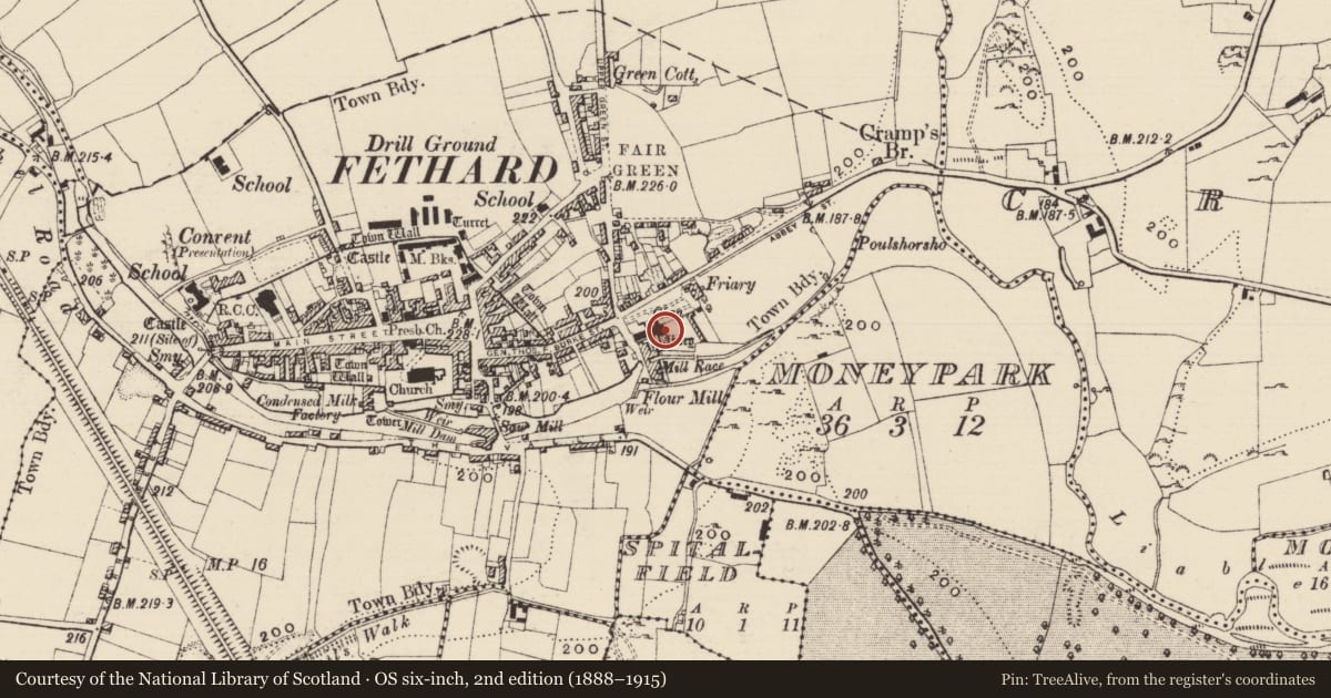 Ordnance Survey six-inch map, 2nd edition (1888–1915) covering the location of Sheela-na-gig, Fethard, County Tipperary South, with a pin at the register's coordinates