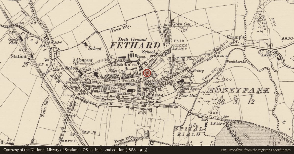 Ordnance Survey six-inch map, 2nd edition (1888–1915) covering the location of Structure, Fethard, County Tipperary South, with a pin at the register's coordinates