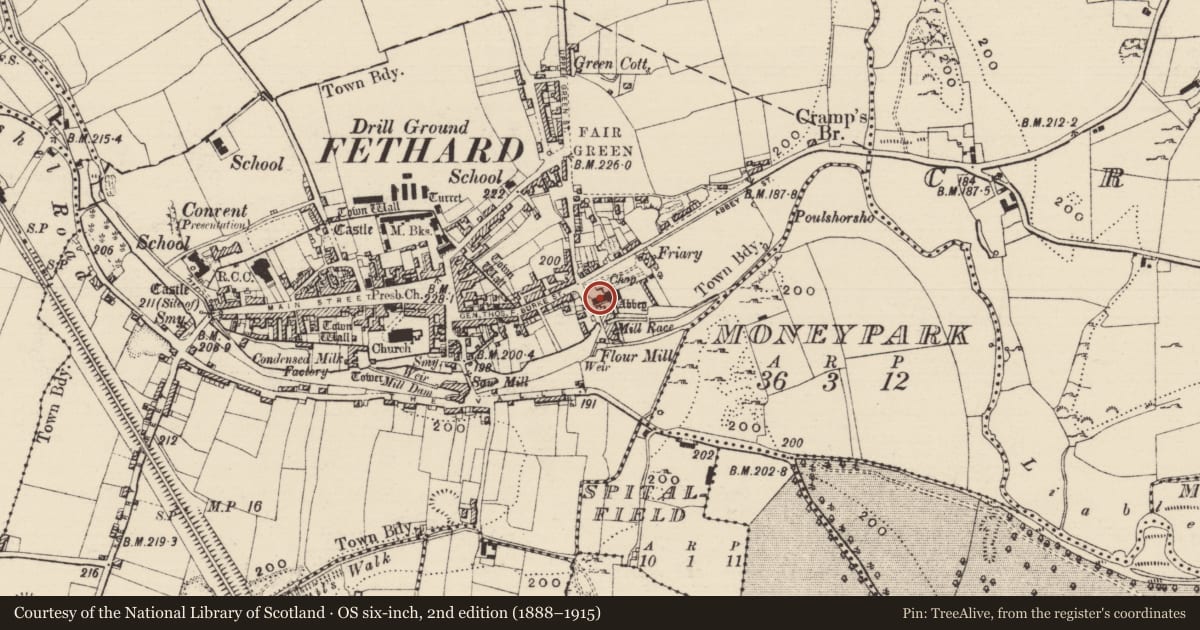 Ordnance Survey six-inch map, 2nd edition (1888–1915) covering the location of Graveyard, Fethard, County Tipperary South, with a pin at the register's coordinates