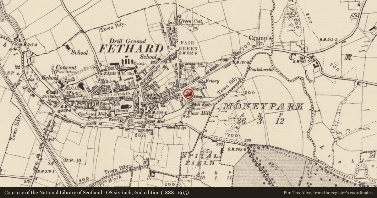 Ordnance Survey six-inch map, 2nd edition (1888–1915) covering the location of Graveslab, Fethard, County Tipperary South, with a pin at the register's coordinates