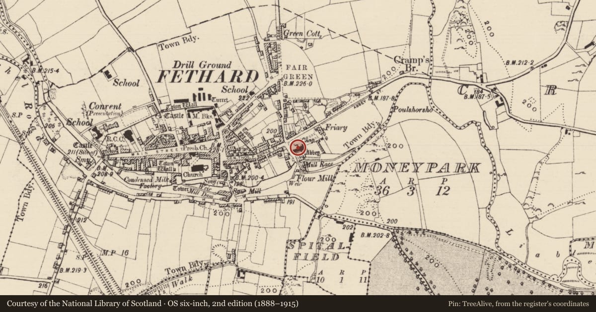 Ordnance Survey six-inch map, 2nd edition (1888–1915) covering the location of Graveslab, Fethard, County Tipperary South, with a pin at the register's coordinates