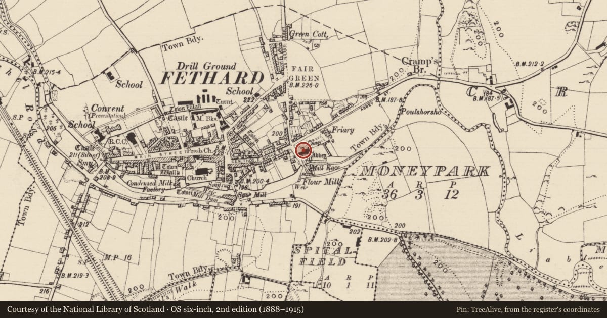 Ordnance Survey six-inch map, 2nd edition (1888–1915) covering the location of Graveslab, Fethard, County Tipperary South, with a pin at the register's coordinates