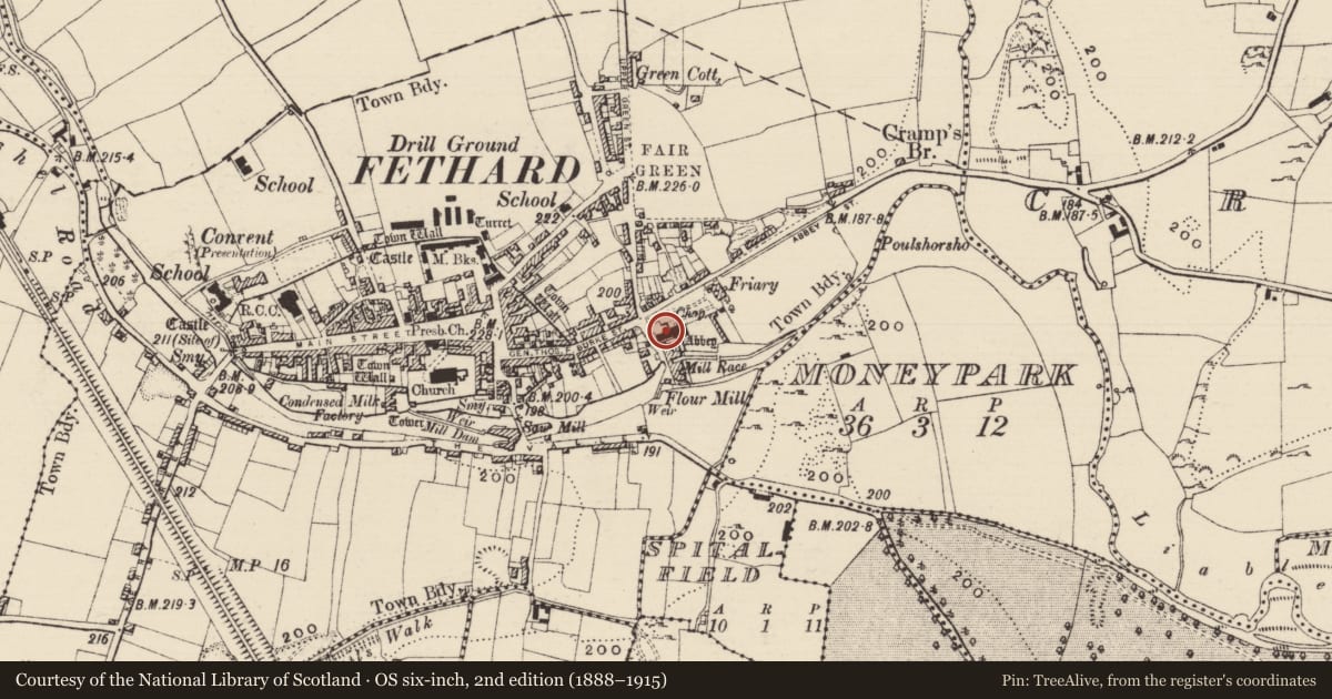 Ordnance Survey six-inch map, 2nd edition (1888–1915) covering the location of Graveslab, Fethard, County Tipperary South, with a pin at the register's coordinates