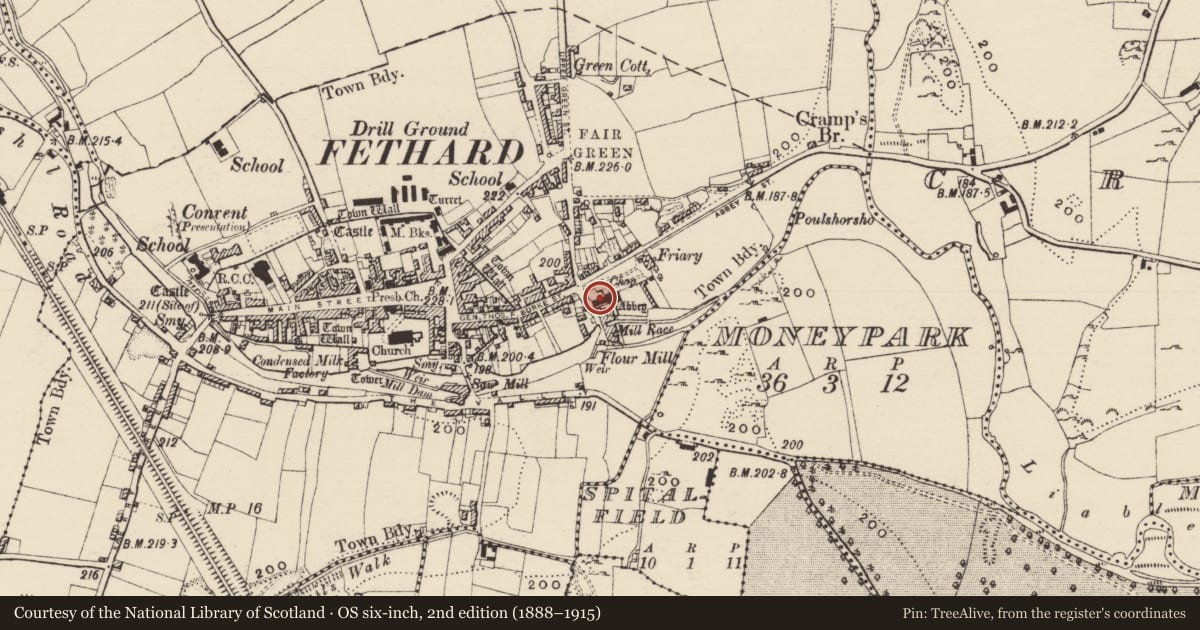 Ordnance Survey six-inch map, 2nd edition (1888–1915) covering the location of Graveslab, Fethard, County Tipperary South, with a pin at the register's coordinates