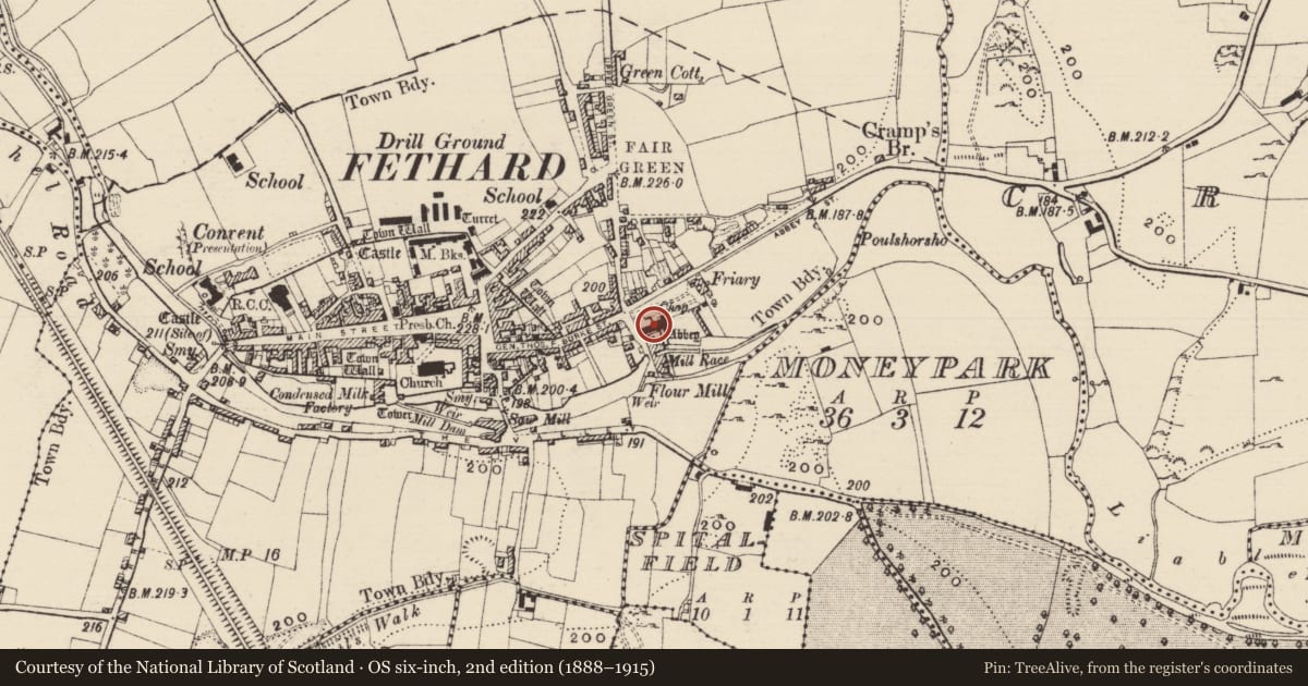 Ordnance Survey six-inch map, 2nd edition (1888–1915) covering the location of Graveslab, Fethard, County Tipperary South, with a pin at the register's coordinates
