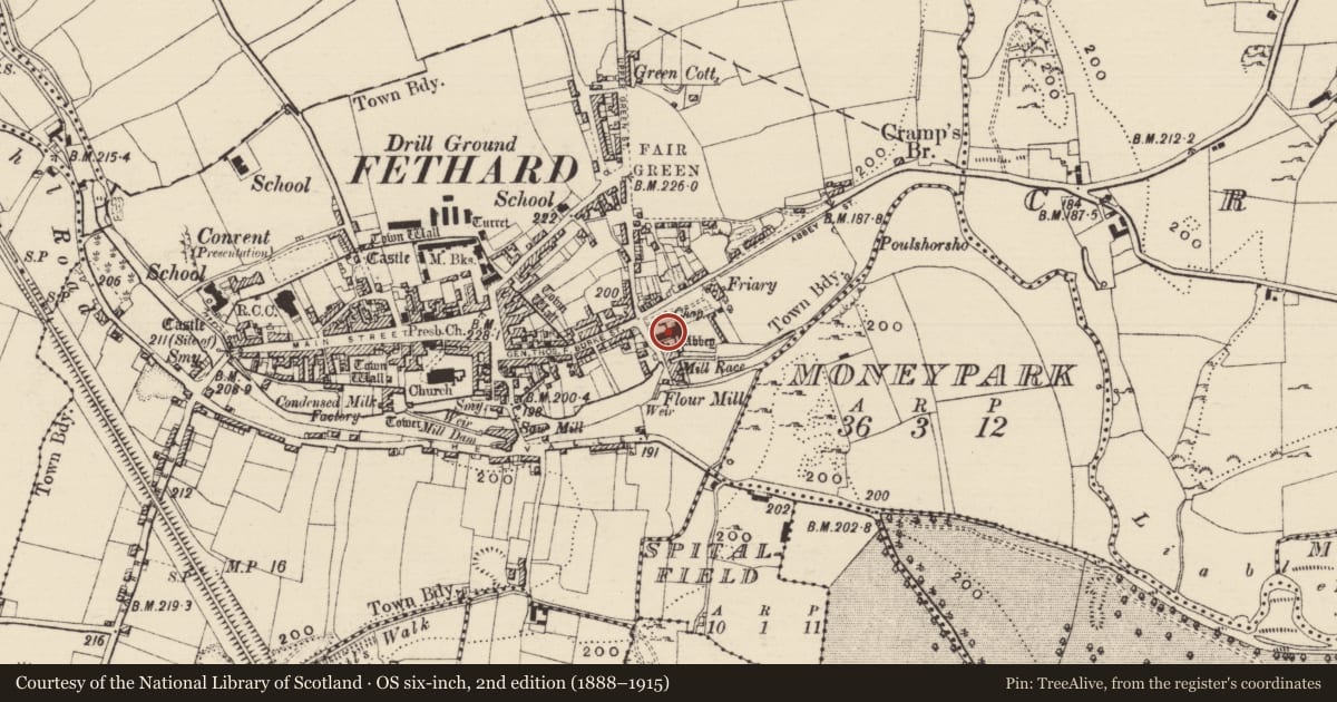 Ordnance Survey six-inch map, 2nd edition (1888–1915) covering the location of Graveslab, Fethard, County Tipperary South, with a pin at the register's coordinates