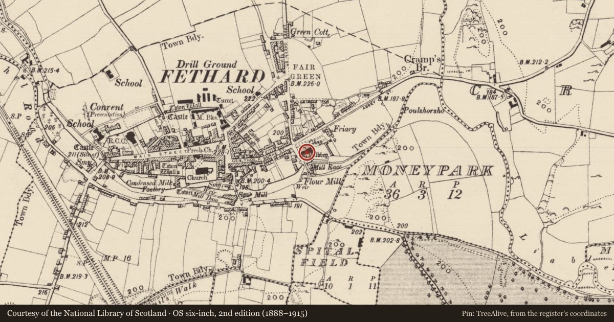 Ordnance Survey six-inch map, 2nd edition (1888–1915) covering the location of Graveslab, Fethard, County Tipperary South, with a pin at the register's coordinates